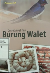 Image of Omset Awet dari Burung Walet
